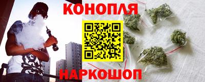 сатива Гатчина