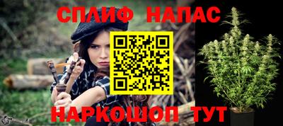 сатива Гатчина
