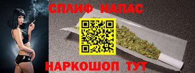 сатива Гатчина