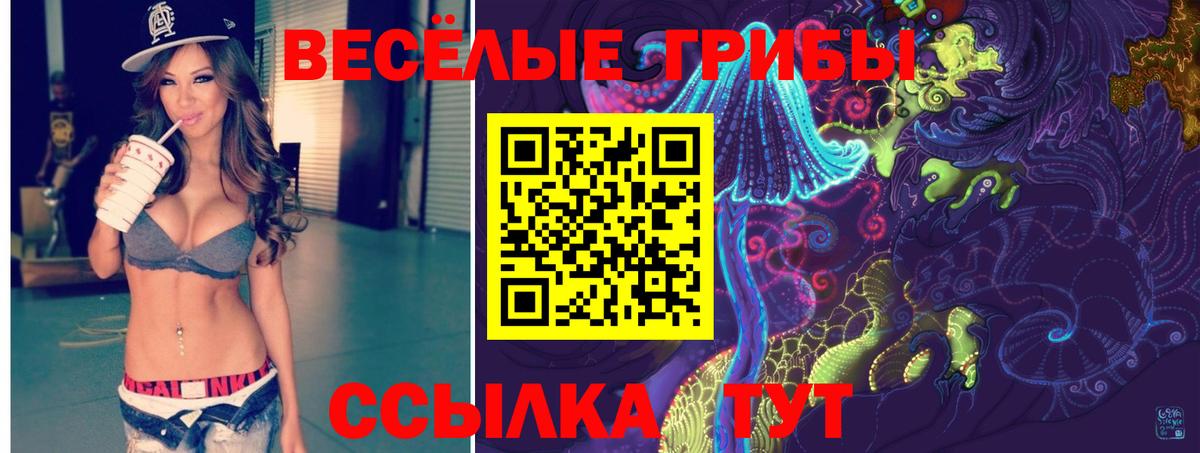 Галлюциногенные грибы GOLDEN TEACHER Лениногорск
